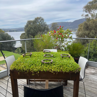 Outdoor deck with a square wooden table covered in green foliage and circular metal rings, surrounded by white chairs, overlooking a scenic view of a lake, hills, and trees under a cloudy sky.