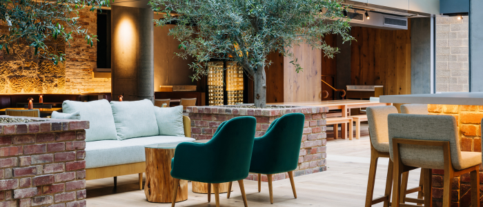 Tasman (Eat & Drink) 1 A modern indoor seating area with a light-colored sofa, two green chairs, and a wooden table in the foreground. The background includes brick walls, additional wooden tables and chairs, and an olive tree as part of the decor. Warm lighting enhances the cozy and inviting atmosphere.