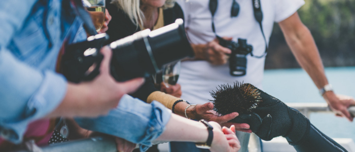 A group of people are observing and possibly touching a sea urchin held by someone wearing black gloves. Some individuals are holding cameras, indicating they might be taking photographs of the sea urchin. The background includes a body of water and some blurred natural scenery.