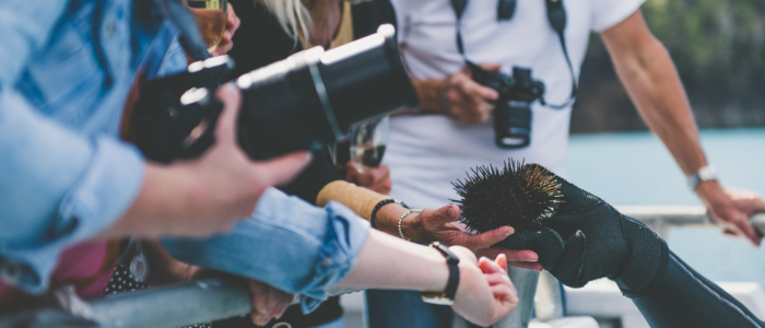 A group of people are on a boat, with one person holding a sea urchin. Several individuals are taking photos of it, and one person is wearing gloves while handling the sea urchin. The background features water and some land.